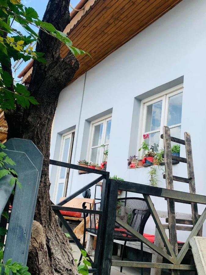 The View On Apartament